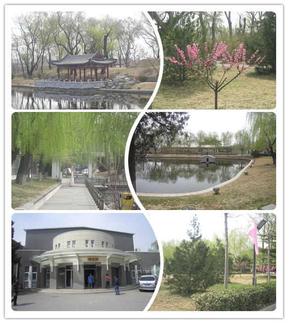 北京101中学排名