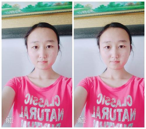 2017河南高考状元:文科吴铮676 理科陈文龙70